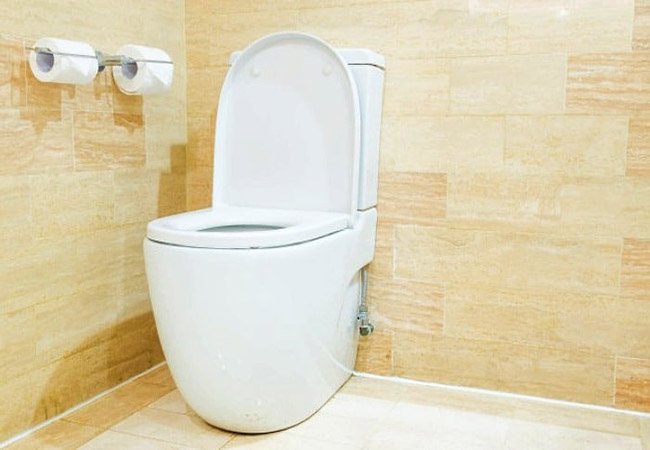 مزایای استفاده از توالت فرنگی